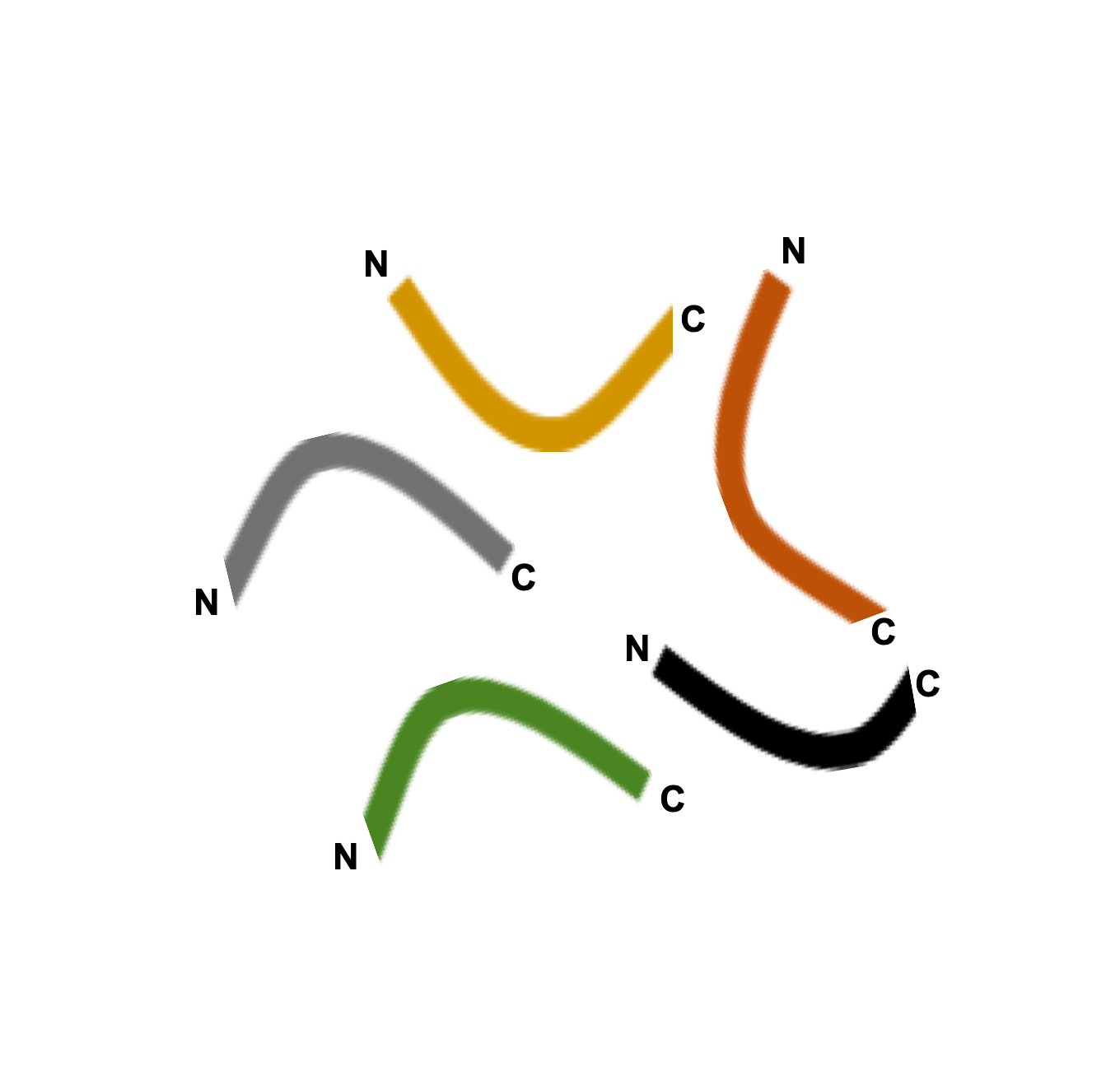 Degradomics is a term used to describe proteome-wide analysis of proteolysis